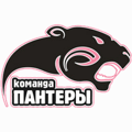 Пантеры (СПб)