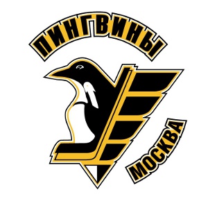 Пингвины (U-13)