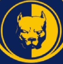 Golden dogs-04