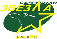 Северная звезда-07