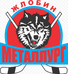 Металлург-08 (Жлобин)