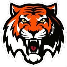 Moscow tigers-10