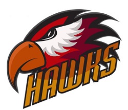 Gold Hawks-11